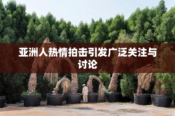 亚洲人热情拍击引发广泛关注与讨论