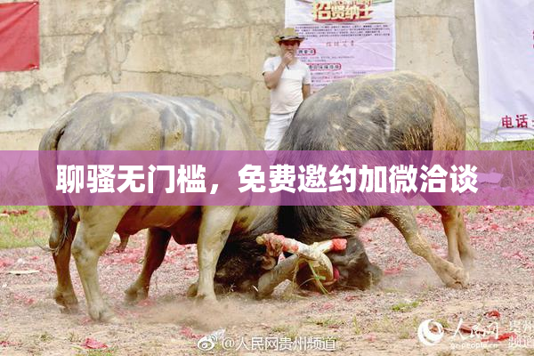 聊骚无门槛，免费邀约加微洽谈