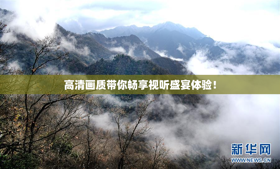 高清画质带你畅享视听盛宴体验！