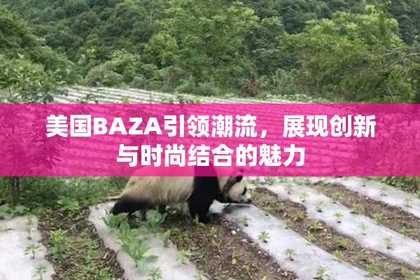 美国BAZA引领潮流，展现创新与时尚结合的魅力