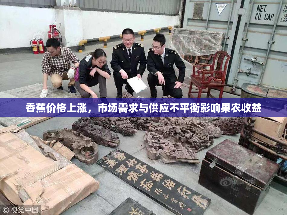 香蕉价格上涨，市场需求与供应不平衡影响果农收益