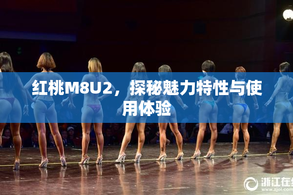 红桃M8U2，探秘魅力特性与使用体验