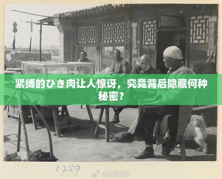 紧缚的ひき肉让人惊讶，究竟背后隐藏何种秘密？