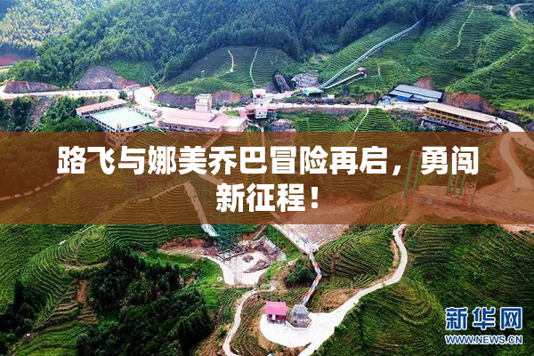 路飞与娜美乔巴冒险再启，勇闯新征程！