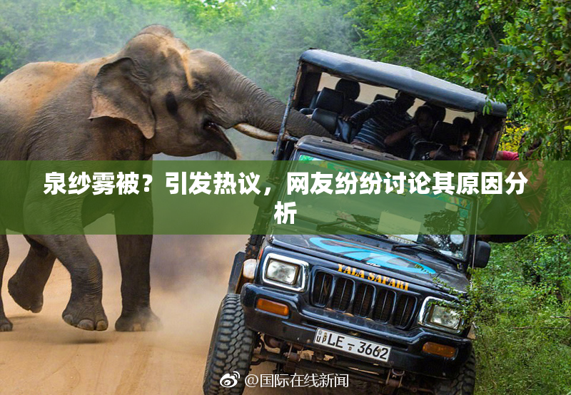 泉纱雾被？引发热议，网友纷纷讨论其原因分析