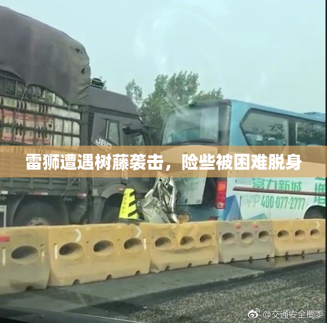 雷狮遭遇树藤袭击，险些被困难脱身