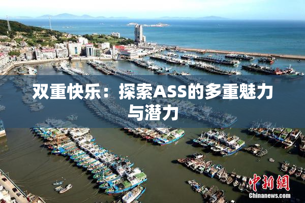 双重快乐：探索ASS的多重魅力与潜力