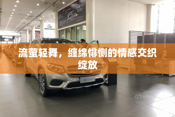 流萤轻舞，缠绵悱恻的情感交织绽放