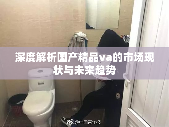 深度解析国产精品va的市场现状与未来趋势