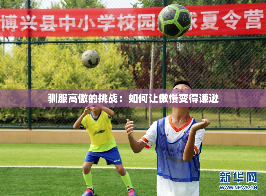 驯服高傲的挑战：如何让傲慢变得谦逊