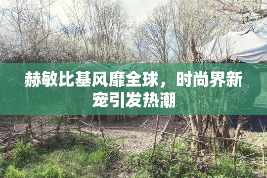 赫敏比基风靡全球，时尚界新宠引发热潮