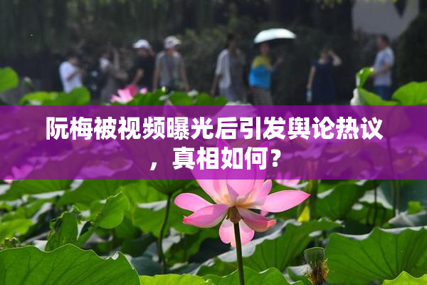 阮梅被视频曝光后引发舆论热议，真相如何？