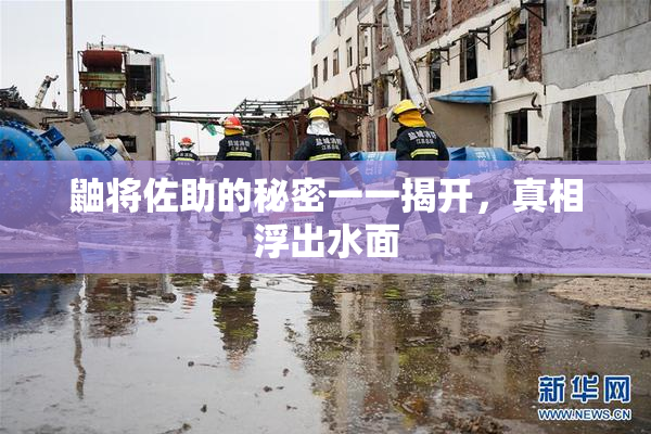 鼬将佐助的秘密一一揭开，真相浮出水面