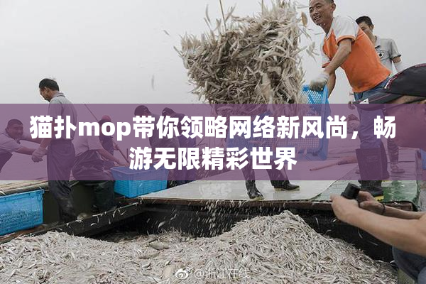 猫扑mop带你领略网络新风尚，畅游无限精彩世界