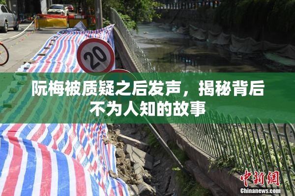 阮梅被质疑之后发声，揭秘背后不为人知的故事
