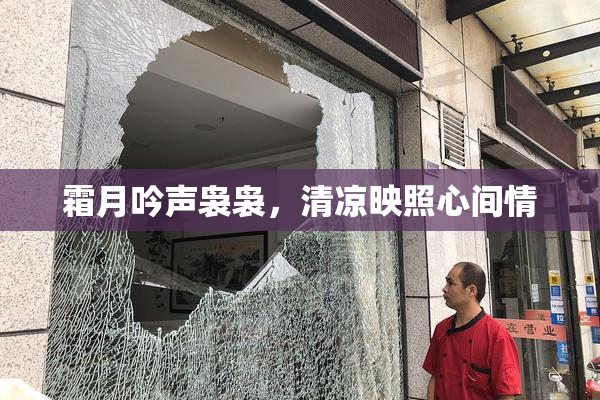 霜月吟声袅袅，清凉映照心间情
