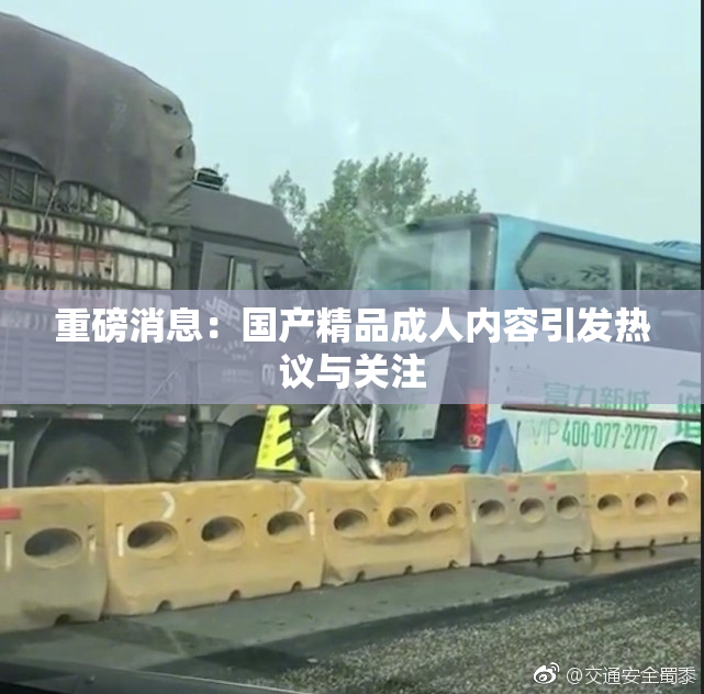 重磅消息：国产精品成人内容引发热议与关注