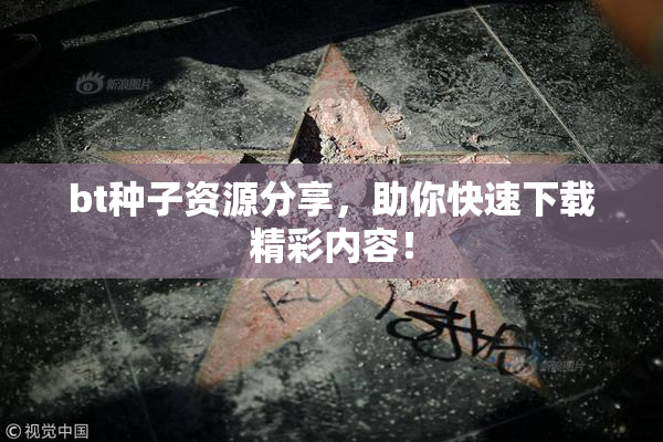 bt种子资源分享，助你快速下载精彩内容！