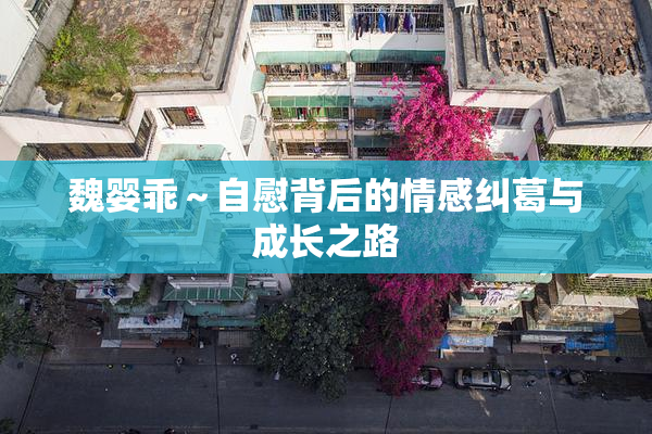 魏婴乖～自慰背后的情感纠葛与成长之路