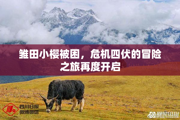 雏田小樱被困，危机四伏的冒险之旅再度开启