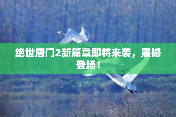 绝世唐门2新篇章即将来袭，震撼登场！