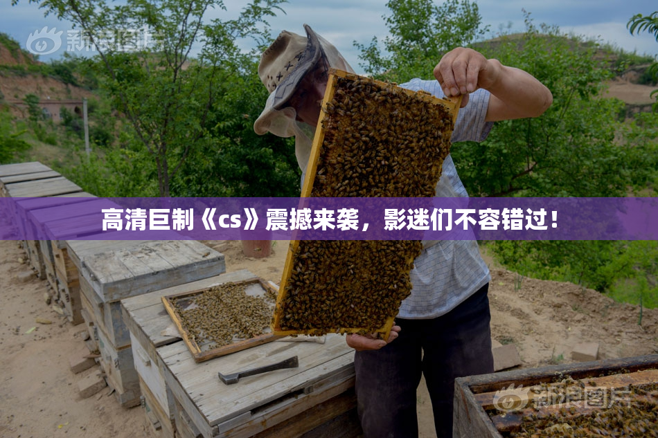 高清巨制《cs》震撼来袭，影迷们不容错过！