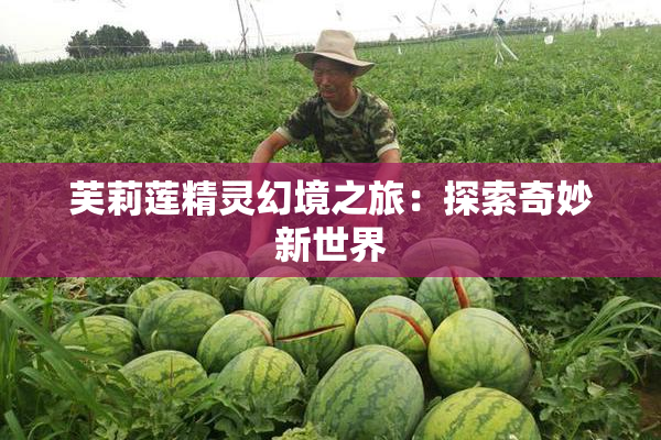 芙莉莲精灵幻境之旅：探索奇妙新世界