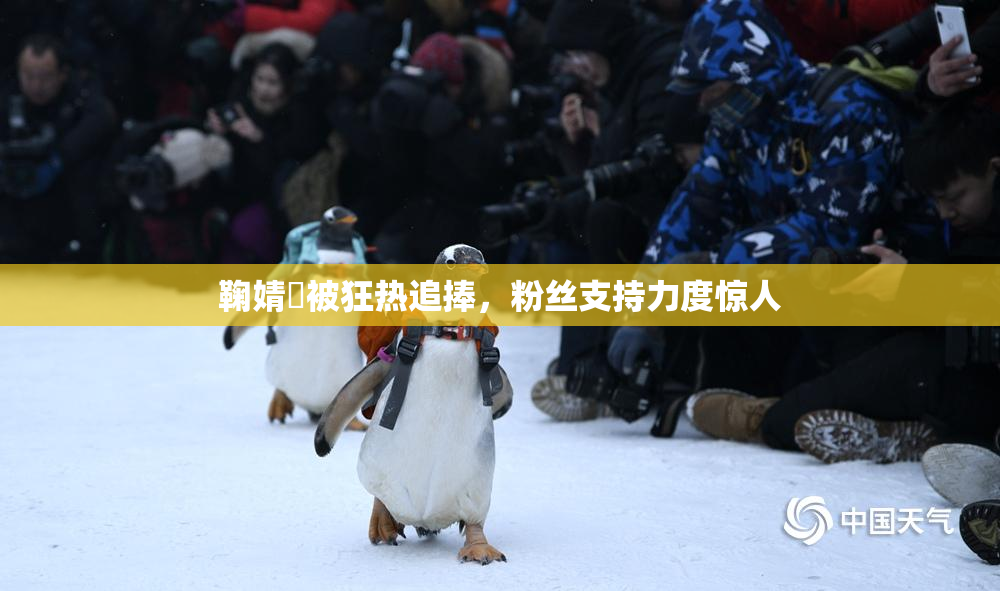 鞠婧祎被狂热追捧，粉丝支持力度惊人