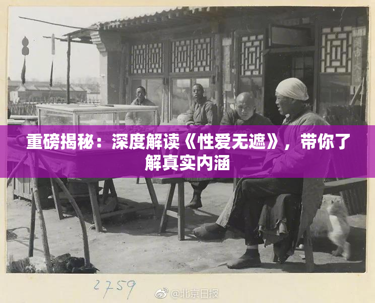 重磅揭秘：深度解读《性爱无遮》，带你了解真实内涵