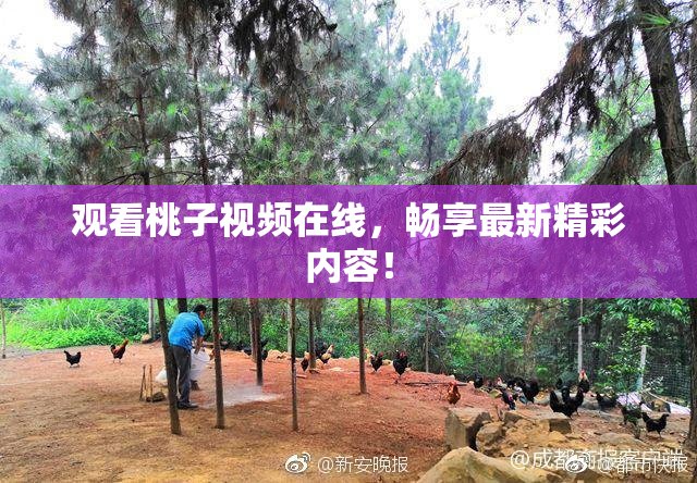 观看桃子视频在线，畅享最新精彩内容！