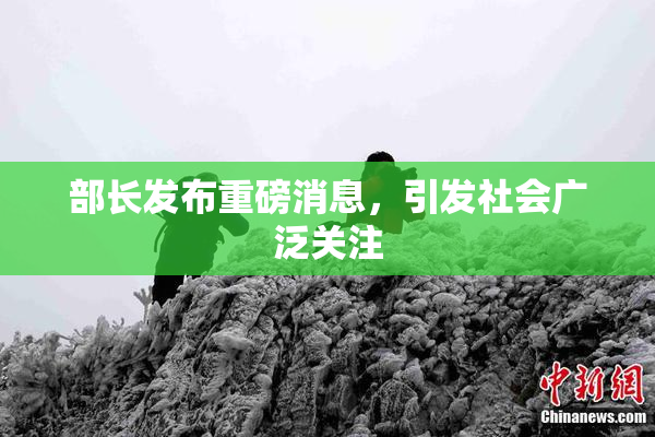 部长发布重磅消息，引发社会广泛关注