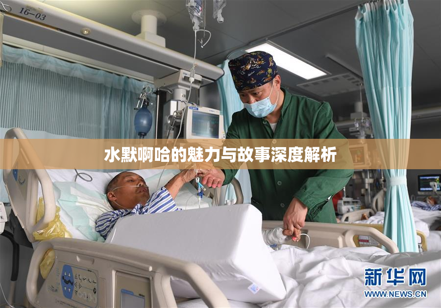 水默啊哈的魅力与故事深度解析
