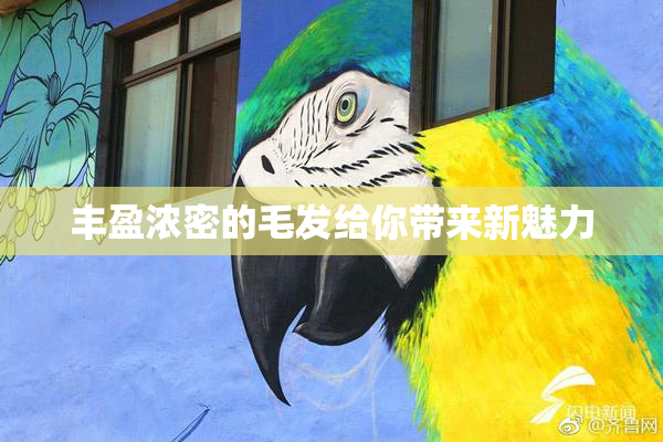 丰盈浓密的毛发给你带来新魅力