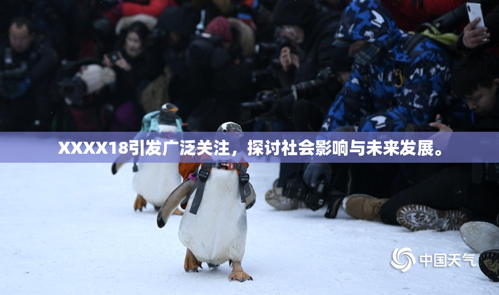 XXXX18引发广泛关注，探讨社会影响与未来发展。