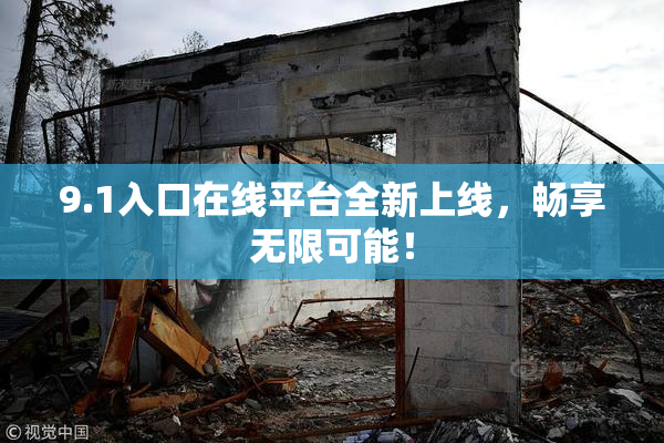9.1入口在线平台全新上线，畅享无限可能！
