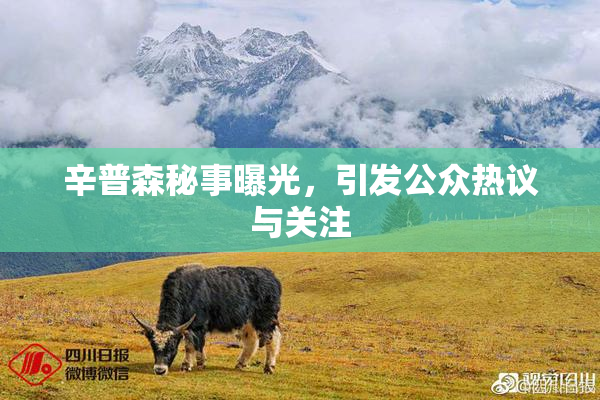 辛普森秘事曝光，引发公众热议与关注