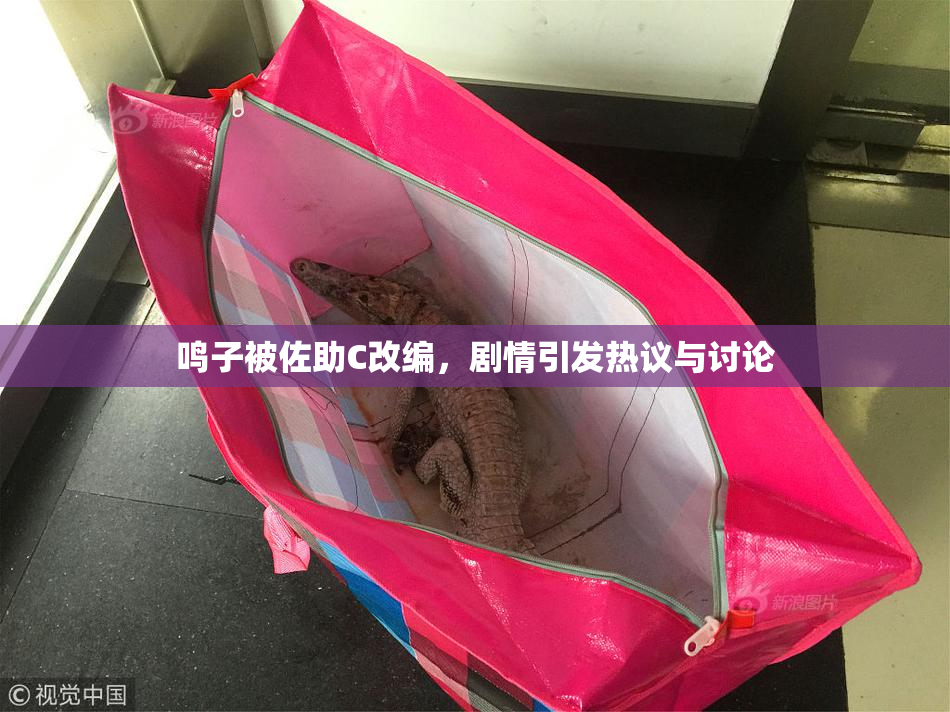 鸣子被佐助C改编，剧情引发热议与讨论