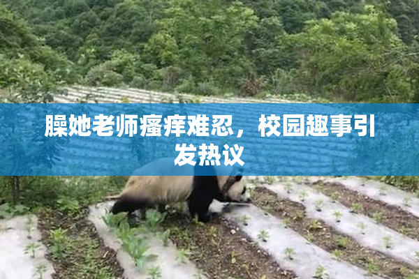 臊她老师瘙痒难忍，校园趣事引发热议