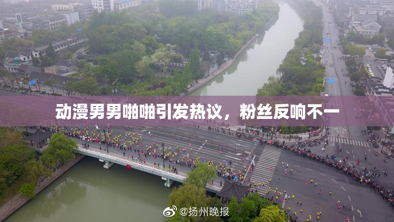 动漫男男啪啪引发热议，粉丝反响不一