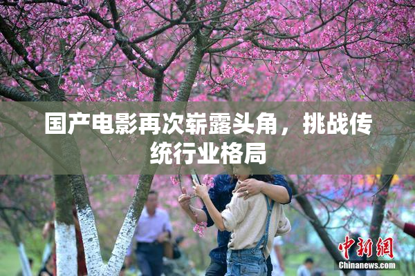 国产电影再次崭露头角，挑战传统行业格局