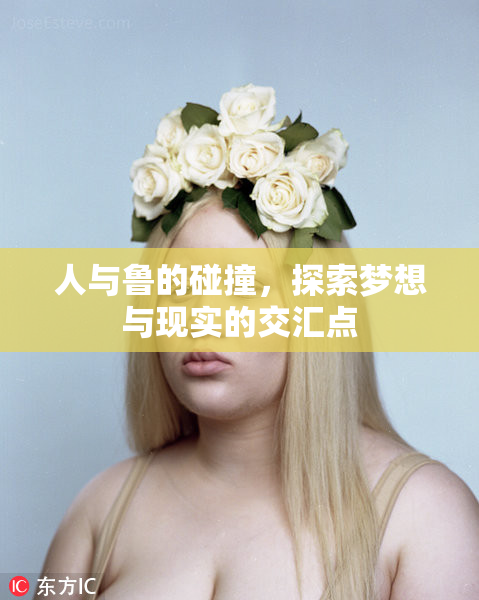 人与鲁的碰撞，探索梦想与现实的交汇点