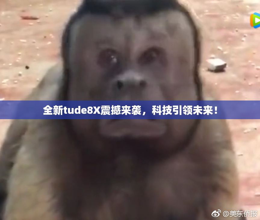 全新tude8X震撼来袭，科技引领未来！