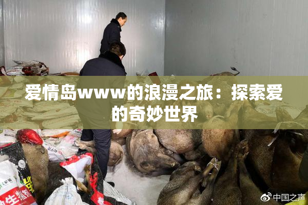 爱情岛www的浪漫之旅：探索爱的奇妙世界