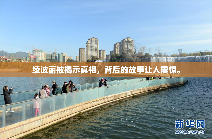 绫波丽被揭示真相，背后的故事让人震惊。