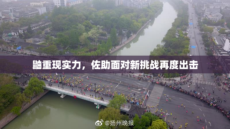 鼬重现实力，佐助面对新挑战再度出击