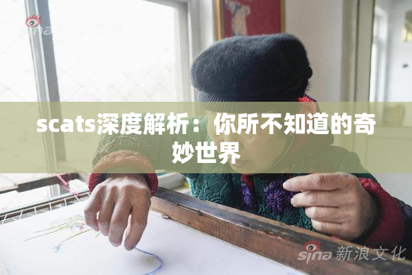 scats深度解析：你所不知道的奇妙世界