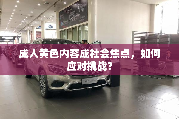 成人黄色内容成社会焦点，如何应对挑战？