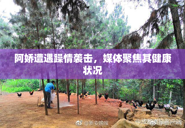阿娇遭遇躁情袭击，媒体聚焦其健康状况