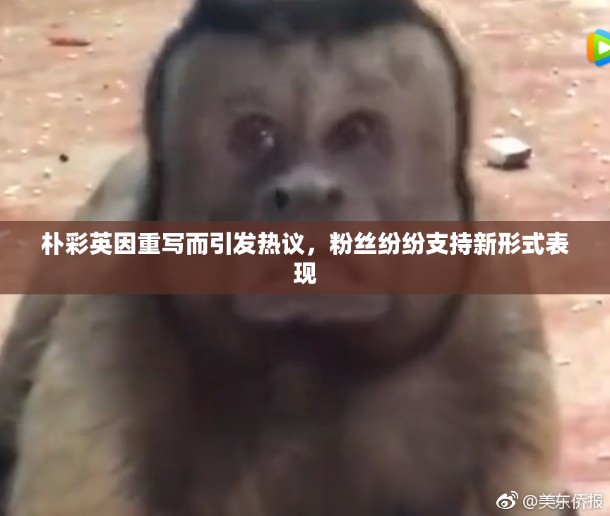朴彩英因重写而引发热议，粉丝纷纷支持新形式表现