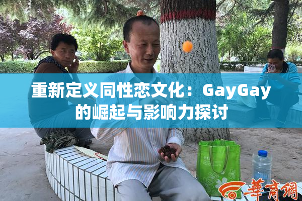 重新定义同性恋文化：GayGay的崛起与影响力探讨